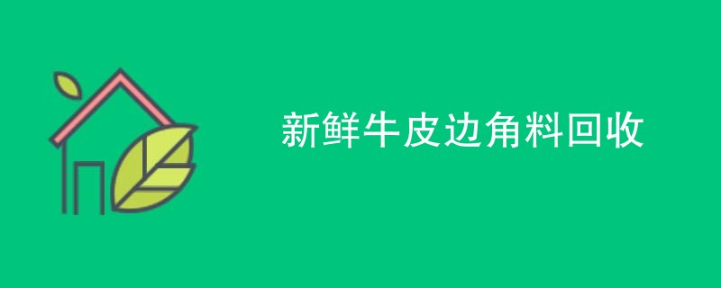 新鲜牛皮边角料回收