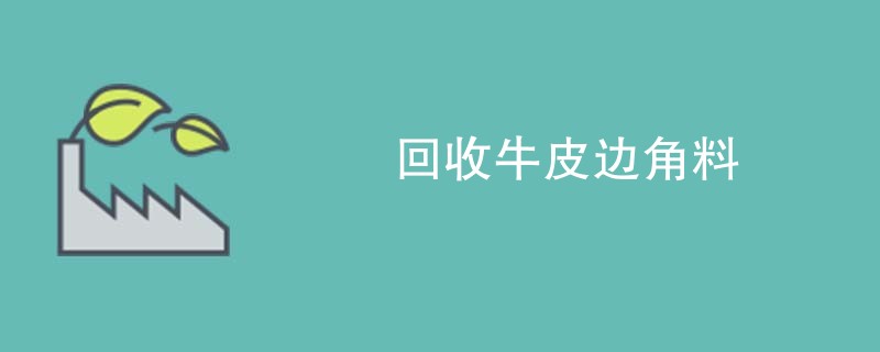 回收牛皮边角料