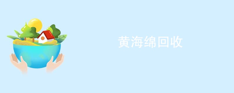 黄海绵回收