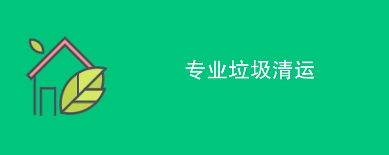 专业垃圾清运